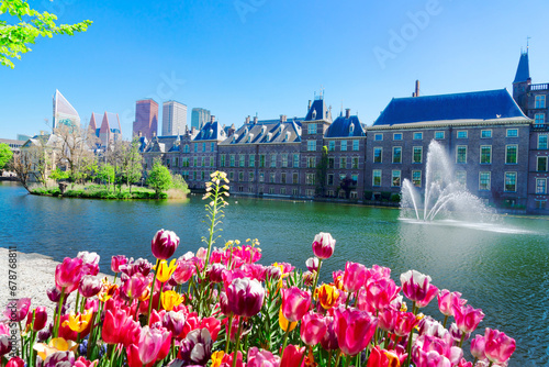 Binnenhof - Dutch Parliament with growing tulips, The Hague, Holland photo