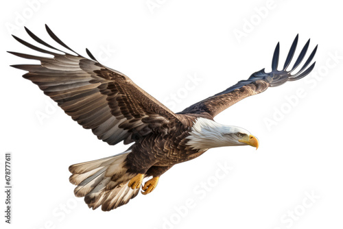 Bald eagle in flight on transparent background,generative ai © LomaPari2021