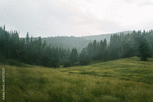 Hazy trees and meadow in the Valles Caldera National Preserve, New Mexico