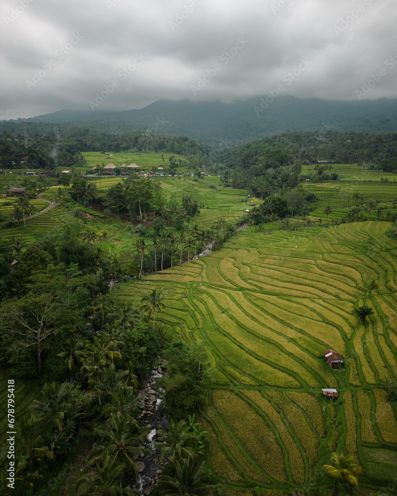 Aerial Exploration of Bali's Rural Charm: Tropical Island, Lush Jungles, Green Rice Terraces, and Picturesque Villages. Experience Asia's Nature in Indonesia