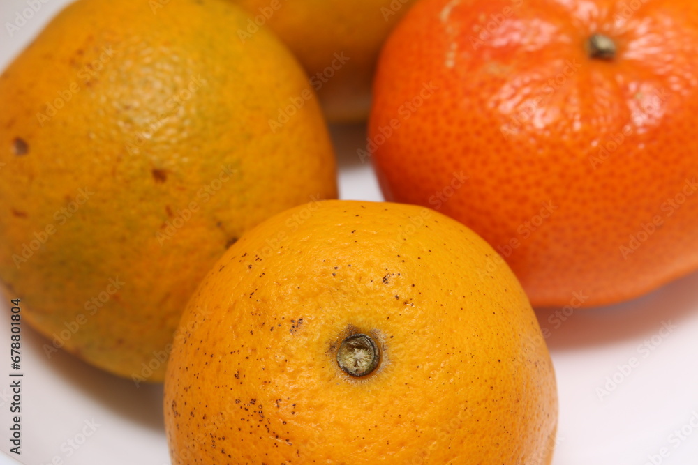 oranges and tangerine. set of fruits. orange natural foods. oranges and tangerine. set of fruits. orange natural foods.