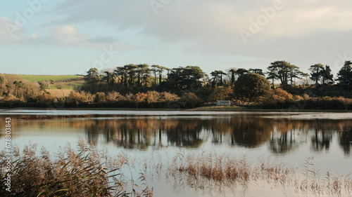 Tranquil Reflections photo