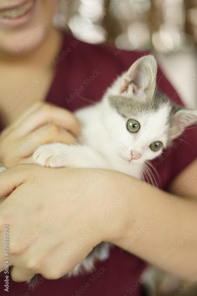 woman vet holding a cat woman vet holding a cat