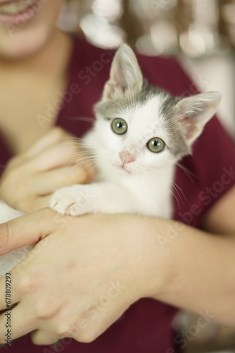 Fototapeta Naklejka Na Ścianę i Meble -  woman vet holding a cat