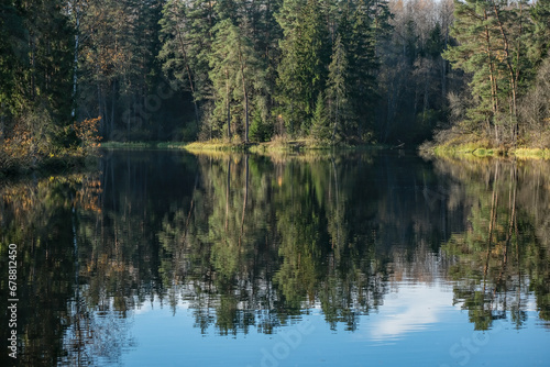 Ņega river, Latvia. Dense forest on river bank with perfect reflection in smooth calm water