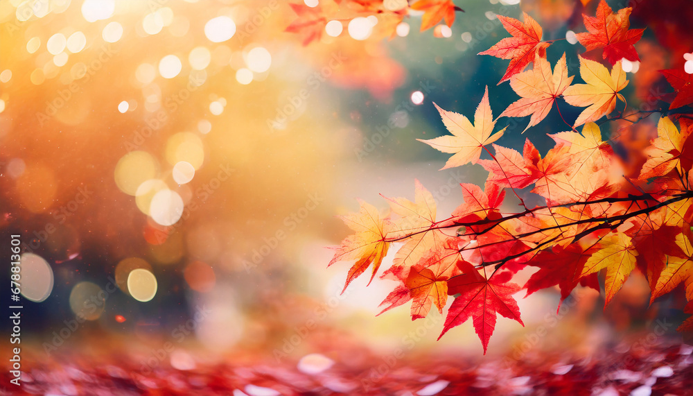 web banner design for autumn season and end year activity with red and yellow maple leaves with soft focus light and bokeh background