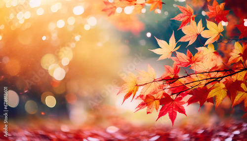 web banner design for autumn season and end year activity with red and yellow maple leaves with soft focus light and bokeh background © Florence