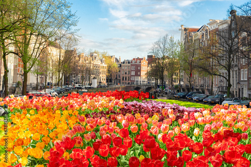 Dutch spring city scenery with canal and tulips, Amsterdam, Netherlands
