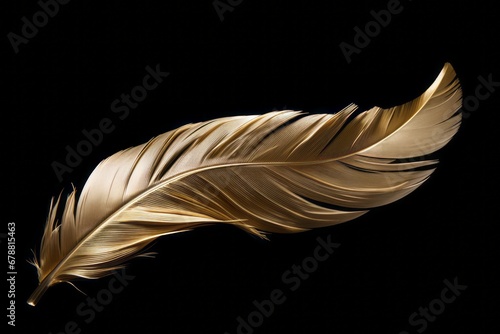 Single feather bathed in warm light, minimalist design with a tranquil feel. photo