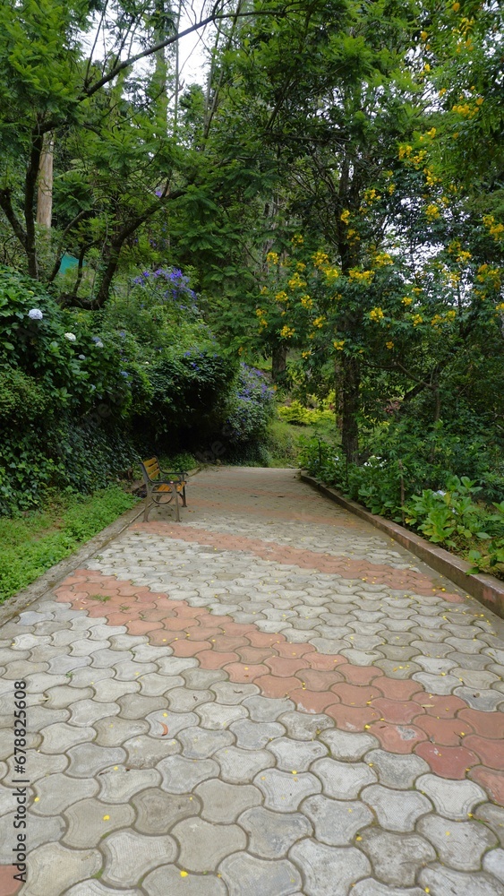 Beautiful scenic garden of Kodaikanal Bryant Park. Beautiful scenic garden of Kodaikanal Bryant Park.