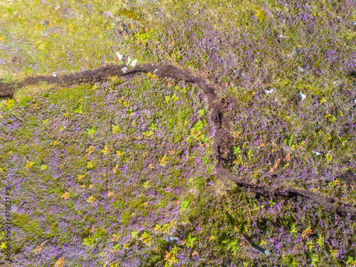 Aerial view of Granuaile Loop Walk Trail cover by flowers, rocks and vegetation photo