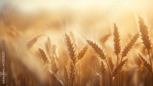 Fields of golden wheat ears of wheat are swaying beautiful Ai generated Natural Beauty Photo