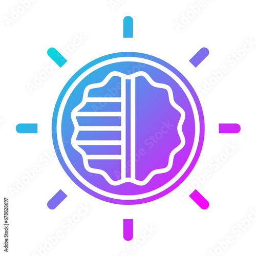 Camera Brightness Icon