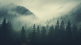 Foggy forest in the mountains. Foggy misty landscape