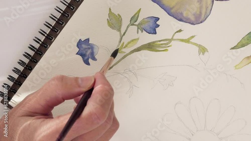 Watercolor painting. Woman draws watercolor sketches of flowers. Close-up view from above. Art, learning to draw, hobby concept