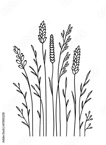 Pattern with wild grasses, wild flowers and herbs