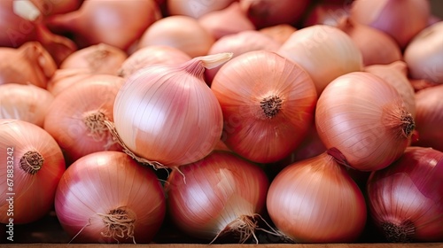 Fresh onions on the table in the store  close-up. Vitamin seasoning for a healthy diet. A spicy food ingredient. A slide  a bunch of onions. Trading place  market. Agricultural products. Farmer s mark