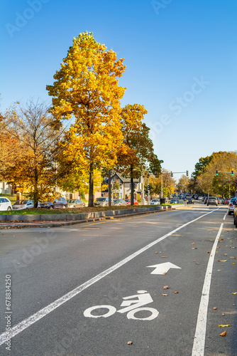 Bike lane sign isolated on street surface, Brighton, Massachusetts, USA  photo