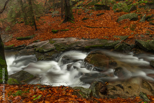 Ponikly creek with flood water after night rain in autumn morning photo