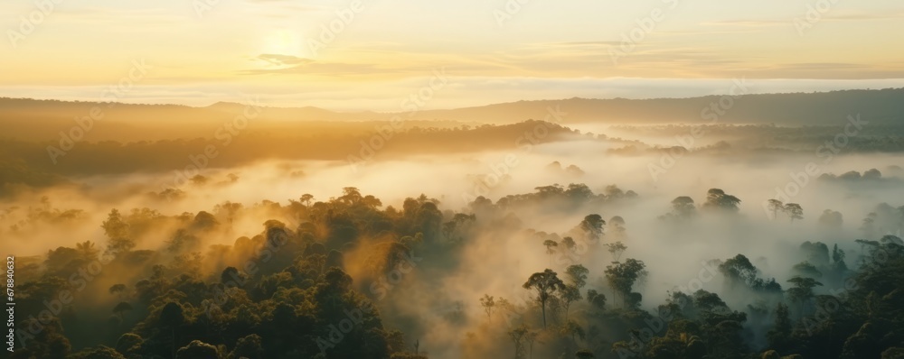 An Aerial Symphony of Tranquil Mist Blanketing an Arboreal Tapestry, Unveiling a Mystical and Serene Dawn Awakening in the Verdant Embrace of a Mysterious Forest