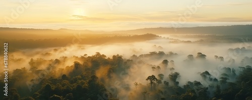 An Aerial Symphony of Tranquil Mist Blanketing an Arboreal Tapestry, Unveiling a Mystical and Serene Dawn Awakening in the Verdant Embrace of a Mysterious Forest © Ben