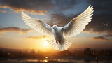 Heavenly white dove symbolizes love and peace