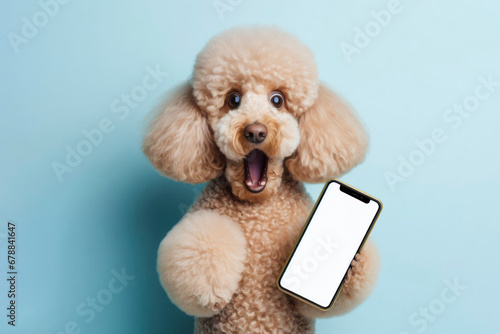 Shocked poodle holding smartphone with white mockup screen on solid color background. ai generative photo
