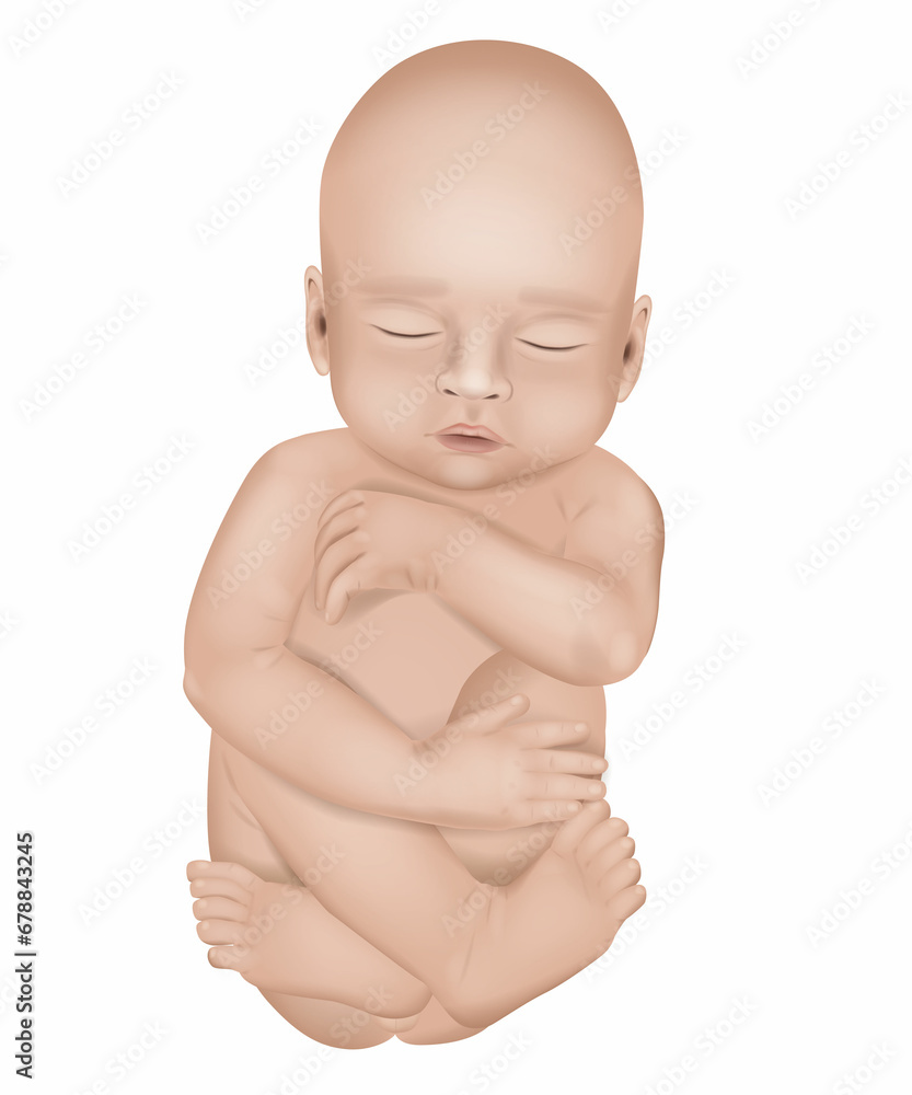 Realistic vector illustration of a newborn baby in white background. Sleeping baby Realistic vector illustration of a newborn baby in white background. Sleeping baby