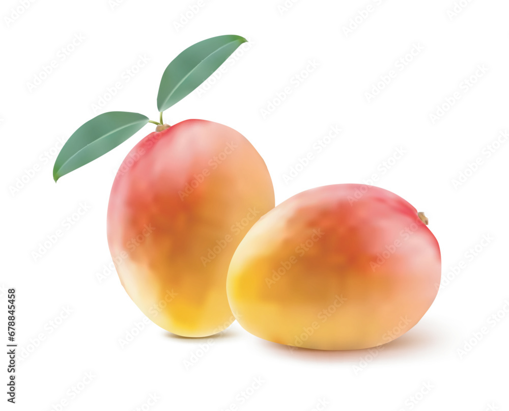 Ripe mango isolated on white. Vector illustration Ripe mango isolated on white. Vector illustration