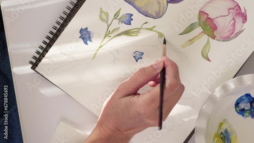 Watercolor painting. Watercolor sketch of flowers, close-up view from above