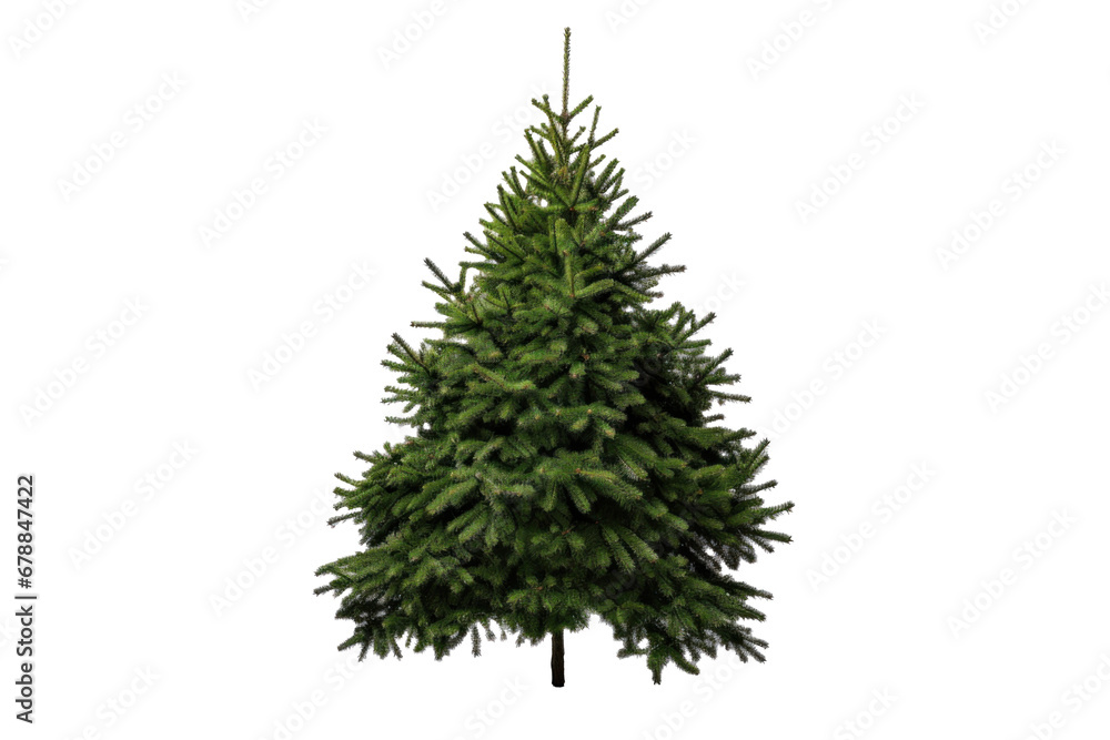 Obraz premium A christmas tree isolated on a transparent background.