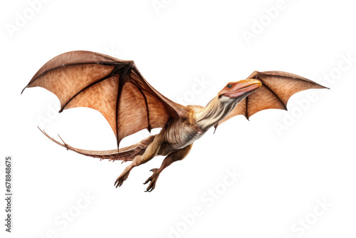 A Pteranodon Dinosaur isolated on a transparent background. © tong2530