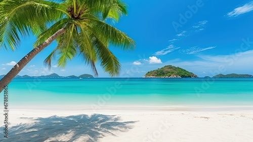 Tropical landscape with beautiful palm trees  White sand beach on island panorama