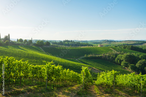 Fototapeta Naklejka Na Ścianę i Meble -  Vineyards in the San Gimignano countryside. Tuscany, Italy