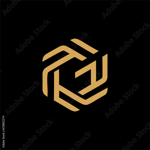 elegant hexagon letter GF logo design vector  creative GF logo design G F photo