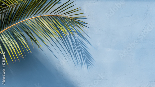 Organic Texture Elegance: Blue Wall with Empty Palm Shadow background for products and presentations