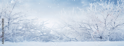 A panoramic winter scene with snow-covered tree branches against a soft, hazy background, conveying the quiet and serene atmosphere of a snowy landscape.
