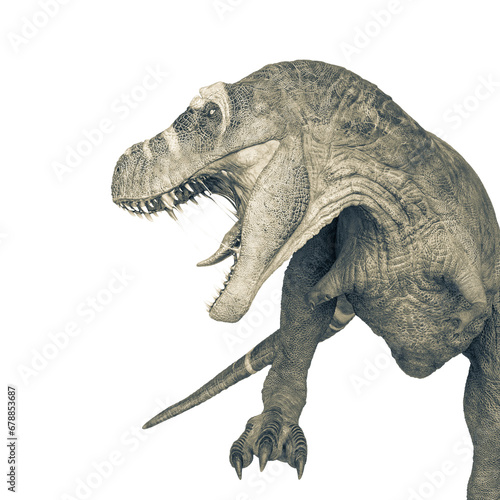 tyrannosaurus rex is angry on close up side view
