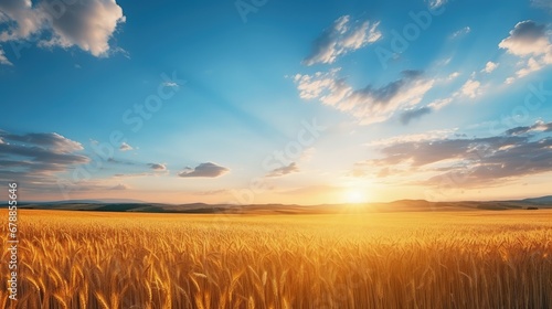 Beautiful Morning morning sunrise Natural Panorama of Gold Wheat Field © JuJamal