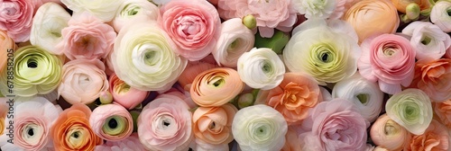 Panoramic Colorful Assortment of Roses and Ranunculus  © AI Exclusive 