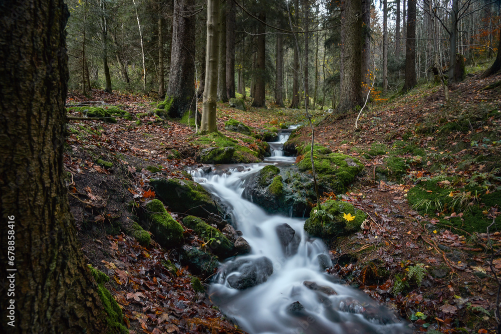 Gebirgsbach im Thüringer Wald im Herbst Gebirgsbach im Thüringer Wald im Herbst