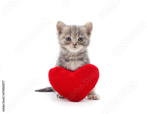 Little kitten with a toy heart.