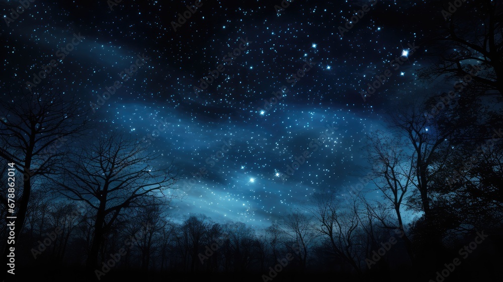 Stars in the sky, in the style of digital painting, tender depiction of nature, dark sky-blue and black, soft, romantic scenes, romanticized landscapes, serene atmospheric perspective, fine detailed