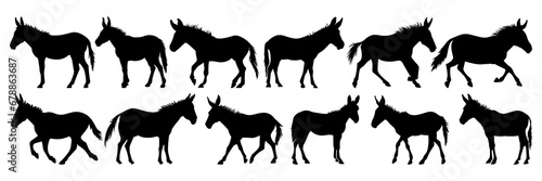 Billede på lærred Donkey silhouettes set, large pack of vector silhouette design, isolated white b