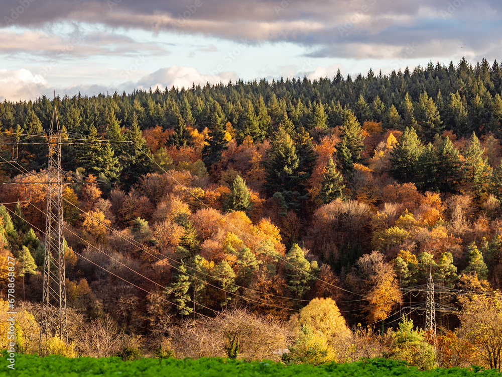 Fototapeta premium Strommasten am Herbstwald