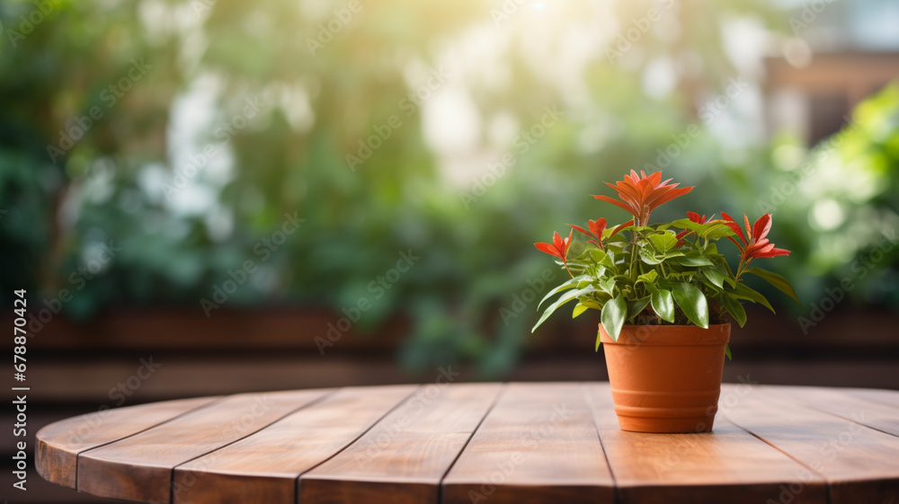Pot with flower on wooden table Pot with flower on wooden table