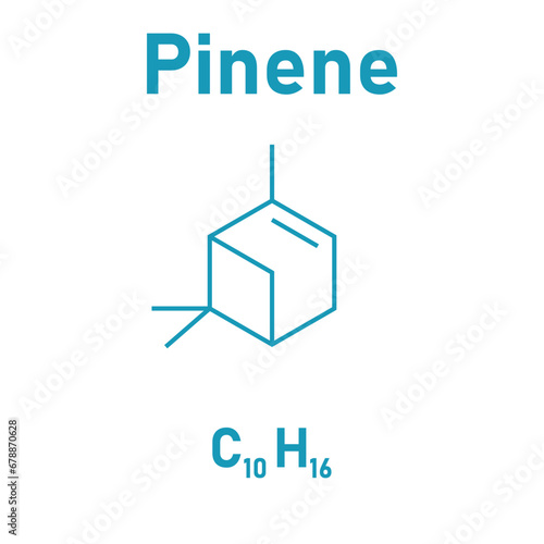 Chemical structure of Pinene (C10H16). Chemical resources for teachers and students. Vector illustration isolated on white background.