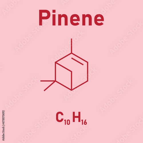 Chemical structure of Pinene (C10H16). Chemical resources for teachers and students. Vector illustration isolated on white background.