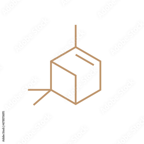 Chemical structure of Pinene (C10H16). Chemical resources for teachers and students. Vector illustration isolated on white background.