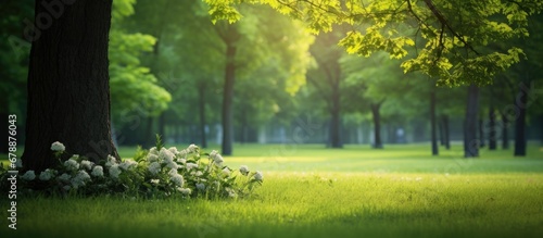 Fototapeta Naklejka Na Ścianę i Meble -  summer the vibrant green color of the grass and leaves creates a beautiful background complementing the vivid flowers and blooming textures garden enhancing the natural beauty of the tree a